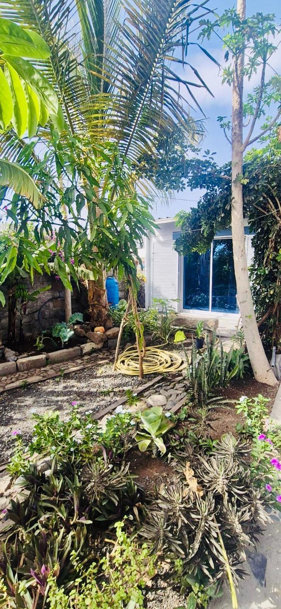 Casa Chiquinha Lejlighed Ribeira da Prata Eksteriør billede